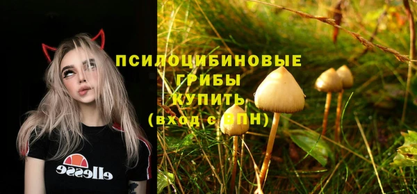 ALPHA-PVP Алексин